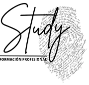 study logo render.png